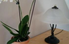 Ferienwohnungen Dirk Laurisch - Foto 8