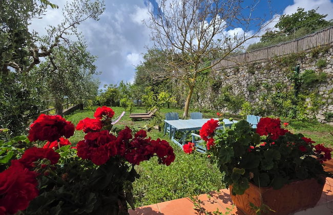 Fattoria Terranova - Foto 51