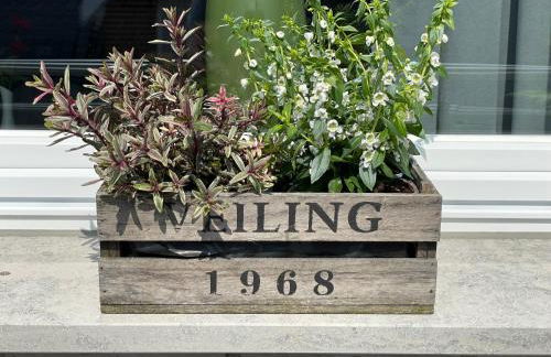 Studio - Apartment Steinmetz mit Balkon - Foto 23