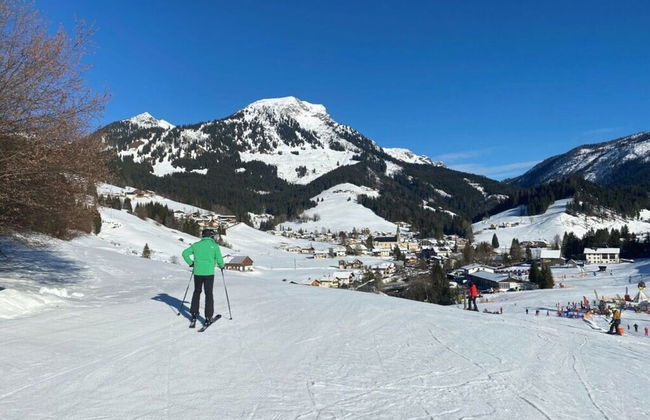 Skiblickhaus Comfortable Holiday Residence - Foto 14