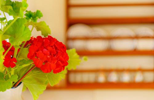 Anemologio - Foto 21