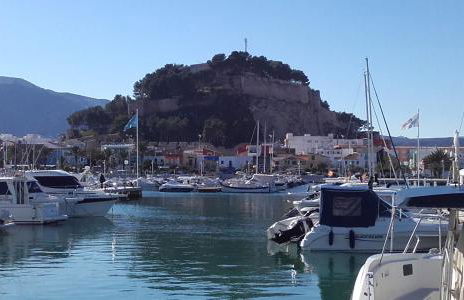 Flowers Denia - Photo 27