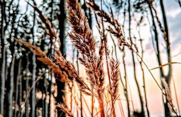 Ostseeblick - Foto 49