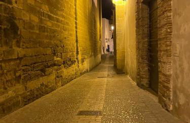 Apartamentos Corredera 2 - Foto 61