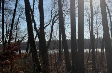 Oaza Radęcin - Foto 38