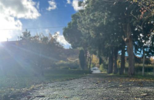 House in the Woods - Foto 40