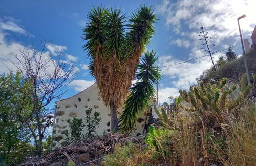 Casa Panama - Foto 4