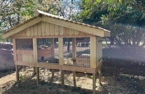 Gîte Dordogne Périgord - Foto 4