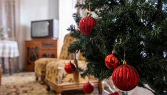 The Lily Nest - Foto 4