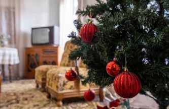 The Lily Nest - Foto 4