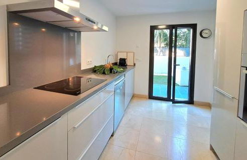 Noctua Flamingos 027 - Photo 16