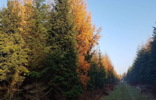 4 Person Holiday Home in Skaerbaek-by Traum - Foto 17