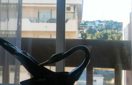 Passeig Maritim Apartment - Photo 18