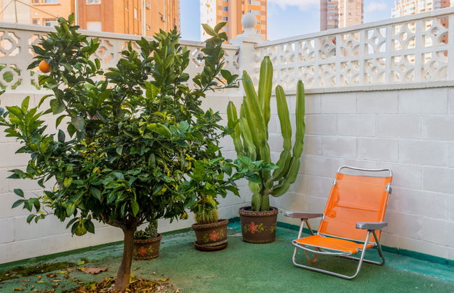 Rinconada Real - Foto 4