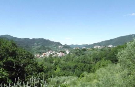 Luce Stellata - Foto 8