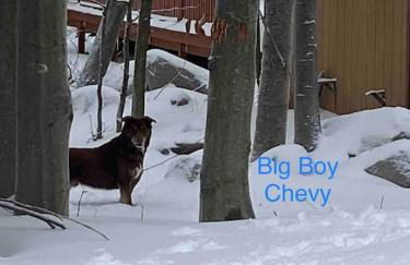 Peaceful Gateway to Island Creek Cottage - Foto 48