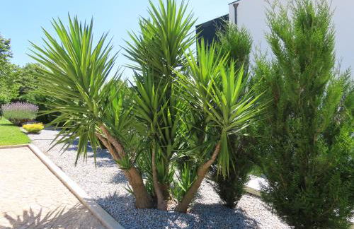 Basto Village House - Foto 23