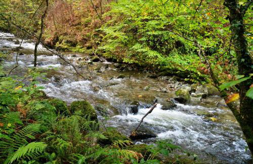 Finest Retreats - Waen Fechan - Foto 22