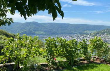 Apartment an der Mosel 1 - Foto 21