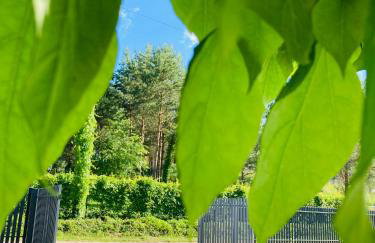 Palma de Masuria Ekskluzywny Dom na wyłączność - Foto 37