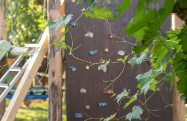 Ferienhof Bahlens-Schur - Foto 29