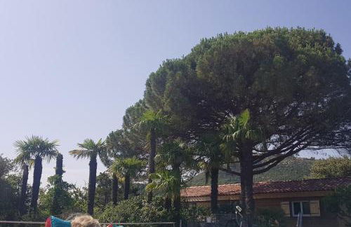 Sous le Grand Pin Piscine & Spa Gîtes Éden en Cévennes à Anduze Gard - Foto 4