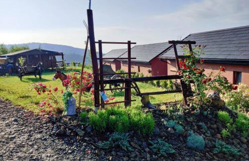 Agroturystyka Faron - Foto 19