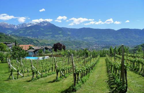 Fröhlichhof Wohnung Panorama - Foto 23