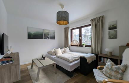 Ferienwohnung Pöhlwasserblick - Foto 14