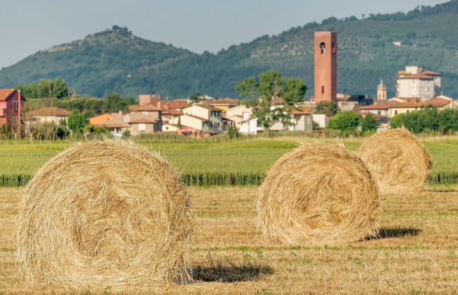 Tenuta Santa Colomba - Photo 54