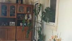 House with garden in Marinha da Mendiga - Foto 1