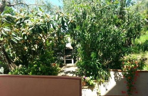 Agriturismo Tenuta Mariani - Foto 44