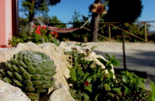 Agriturismo Casa Rosa - Foto 19