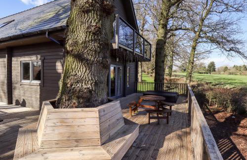 iLodge Ultra - Foto 1