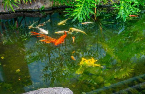 Kauai Dreams Escape II - Foto 33