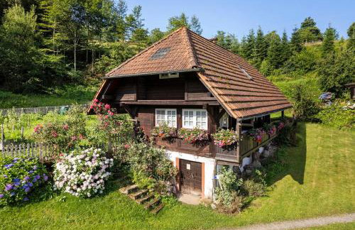 Schwarzwald Buchenhof - Foto 4