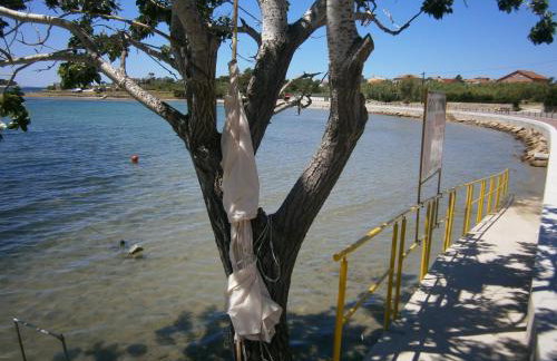 Zobić Family Apartments - Photo 43