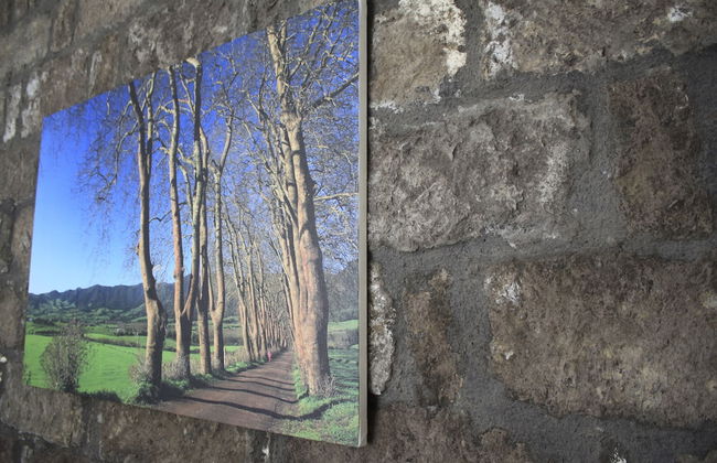 Casa da Cisaltina - Foto 66