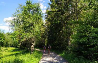 Domek GORCZAŃSKA KOLIBA w Gorcach - Foto 49