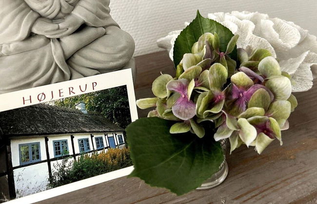 6 Person Holiday Home in Store Heddinge - Foto 14