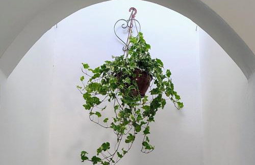 Apartamento dos Arcos - Foto 15