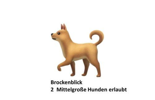 Schloss Stiege - Foto 4