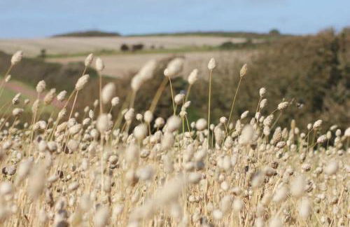 1 Courtyard cottage with hot tub and walled garden - Foto 23