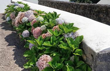 Ribeira da Praia House - Photo 36