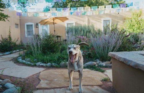 Dos Hermanas Casita 8 Downtown Courtyard Patio - Foto 28