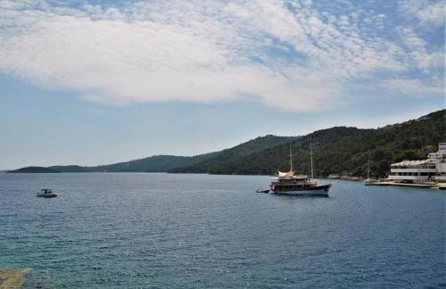 Jungle & Sea Boxavia - Foto 15