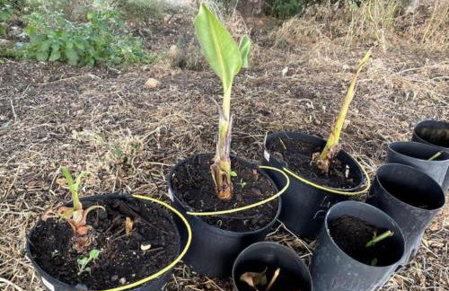 Quinta do Coelhoazul - Foto 12