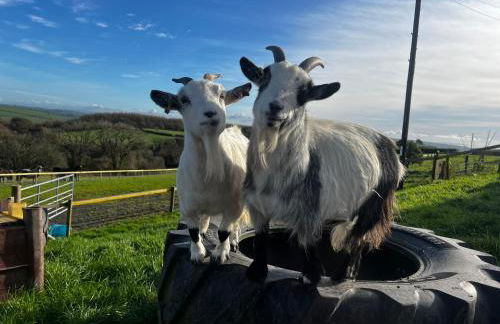 2 bedroom holiday home in the heart of west wales - Photo 2