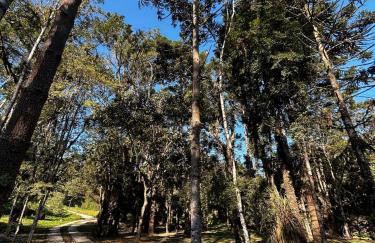 Casa em Visconde De Mauá, Terrário da Montanha - Foto 42