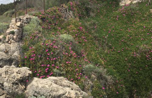 I Giardini Di Margius - Foto 70